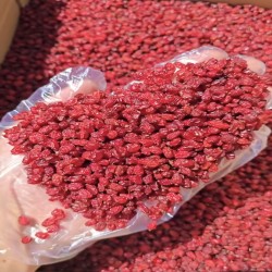برباريس منتفخ للتصدير