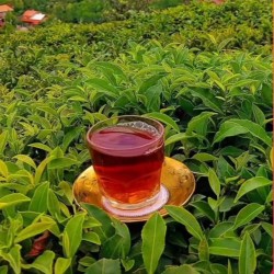فروش چای سیاه ممتاز 