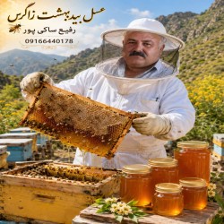 عسل بید بهشت زاگرس