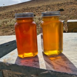 Mir Honey