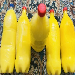روغن محلی،شیلانچ دشتیاری