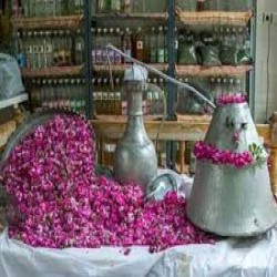 گلاب و عرقیجات گیاهی کاشان