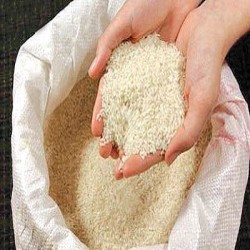 برنج چمپا محلی درجه ۱ زاگرس
