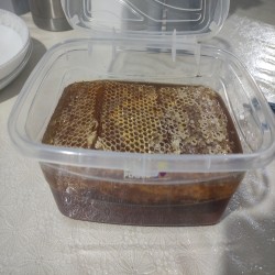 عسل مومدار عسل مومدار