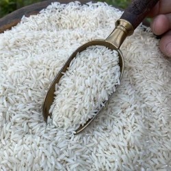 برنج هاشمی اصل لاهیجان 