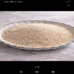 دانه دارویی خشخاش