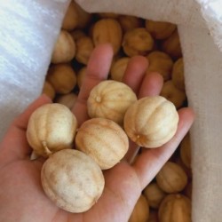 فروش لیموعمانی.کشمش