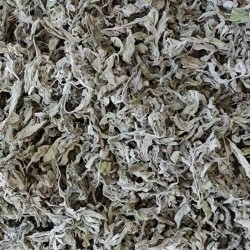 آویشن درمان انواع بیماری عفونی