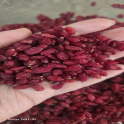 فروش خشکبار و زعفران ایرانی