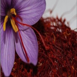 زعفران