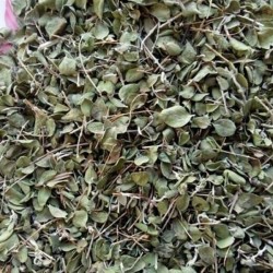 آویشن خوش عطر 