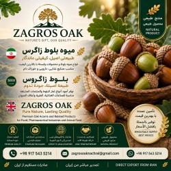 ثمار البلوط والمنتجات المرتبطة