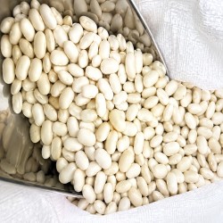 حبوبات