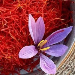 زعفران اصل با رنگ دهی عالی
