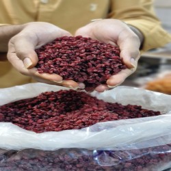 زرشک اعلاء