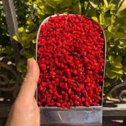 زرشک ایرانی اعلا ارسال به دبی