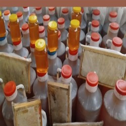 ارگانیک کده  ارغوان بانو