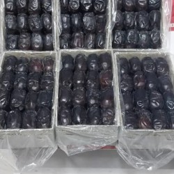 دنبال سرمایه گذار واسه صادرات 