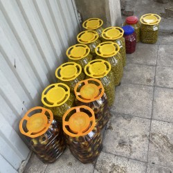 فروش زیتون 