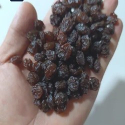 کشمش درجه یک تاکستان به شرط