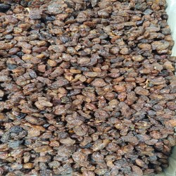 کشمش خوب درجه یک ایرانی