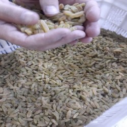 کشمش کشمش