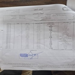 برنج هاشمی 
