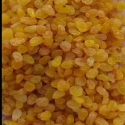 مرکز تولید و پخش انواع کشمش