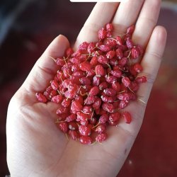 زرشک پفکی قائنات 