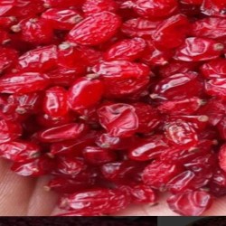 زرشک پفکی اعلا