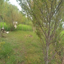 فروش ویلای سنتی زیبا در روستا
