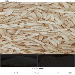 فروش برنج الموت
