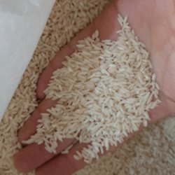 فروش برنج درجه یک فروش برنج درجه یک