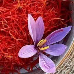 زعفران سرگل واصل قائنات ،مقدم 