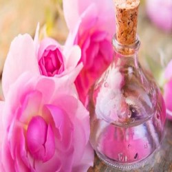 گلاب دو آتیشه ایرانی