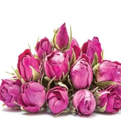 گل محمدی اعلا و درجه 1