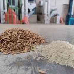برنج گیلان هاشمی استانه 