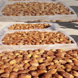 خرما صادراتی درجه یک