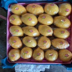 فروش لیمو سنگی
