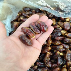 فروش خرمای سایر