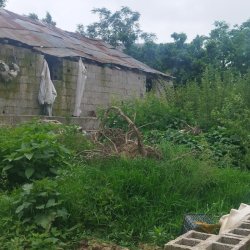 فروش زمین ۲۲۰ متر در رشت