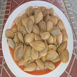 بادام درختی درشت تبریز