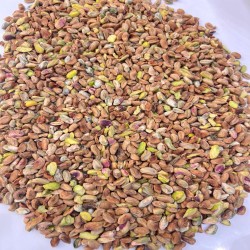 آجیل و خشکبار پسته