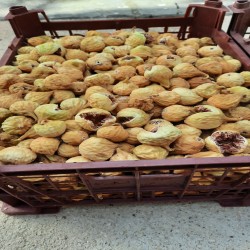 انجیر استهبان