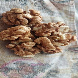 خشکبار 