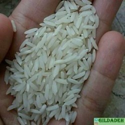 برنج درجه یک شمال ایران
