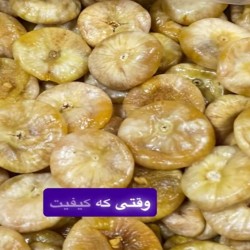 انجیر