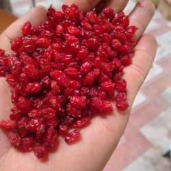 فروش زرشک درجه یک 