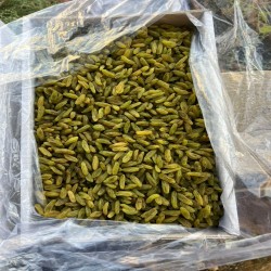 کشمش سبز