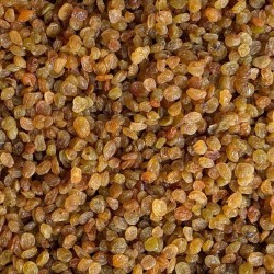 فروش کشمش در جه یک